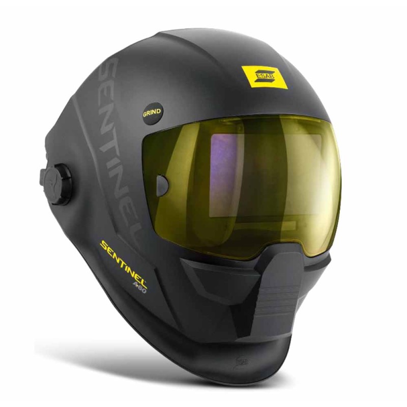 PANTALLA SENTINEL A60